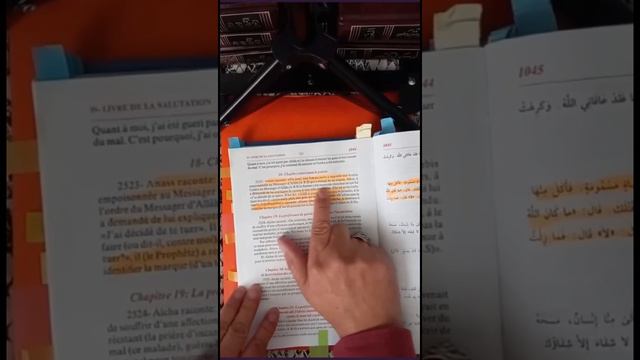Le 12 ème Imam Al-Mahdi (pt: 8) смотреть онлайн