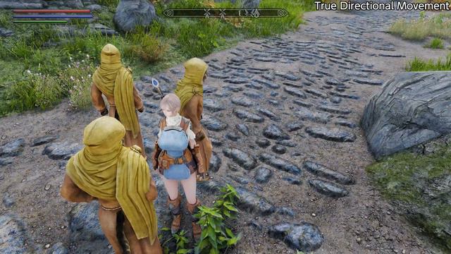 カメラMODとか色々！個人的オススメMODを紹介！ Skyrim SE #3 смотреть онлайн