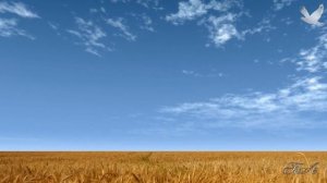 ♫ Для души...  Эрнесто Кортазар - Playful Wind...   Ernesto Cortazar - Playful Wind.