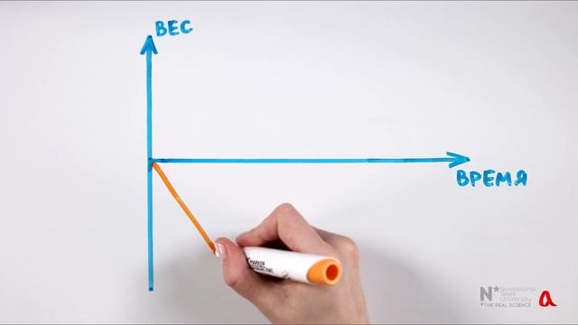 Вес песочных часов ● 1 смотреть онлайн