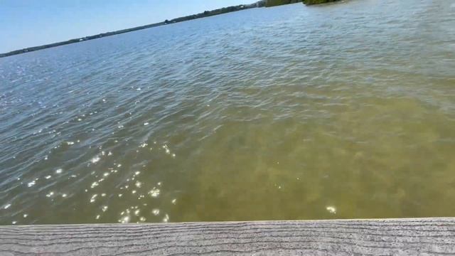 #336 США-ВЛОГ-Выходной в Тампе - Прогулка по Университету - Влог - США -Флорида -  USADAY