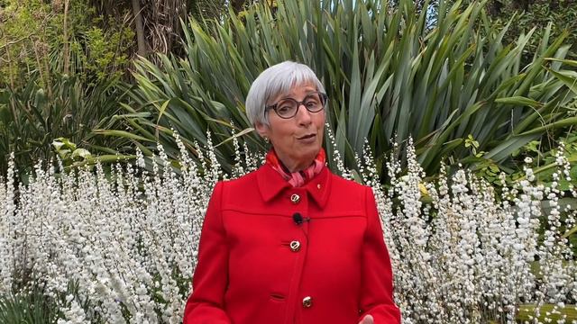 A message to our members from the Honourable Linda Dessau AC, Governor of Victoria смотреть онлайн