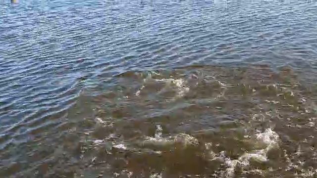 клёвая рыбалка