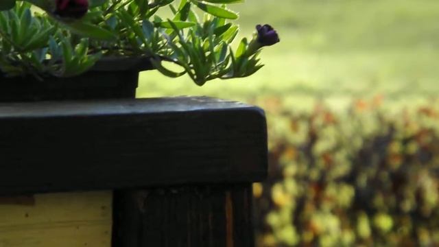 Fuji S4500 HD recording смотреть онлайн