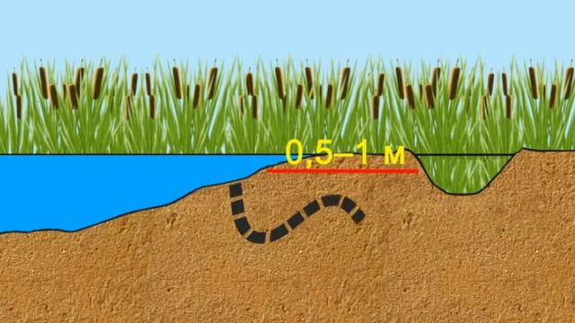 Естественная фильтрация воды смотреть онлайн
