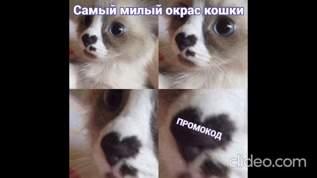 вечер 20.07 смотреть онлайн