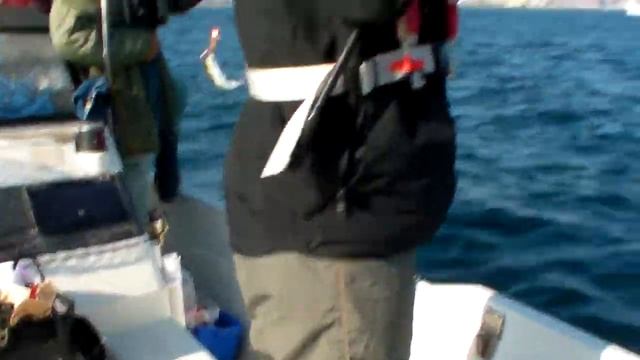 サバフグ祭り смотреть онлайн