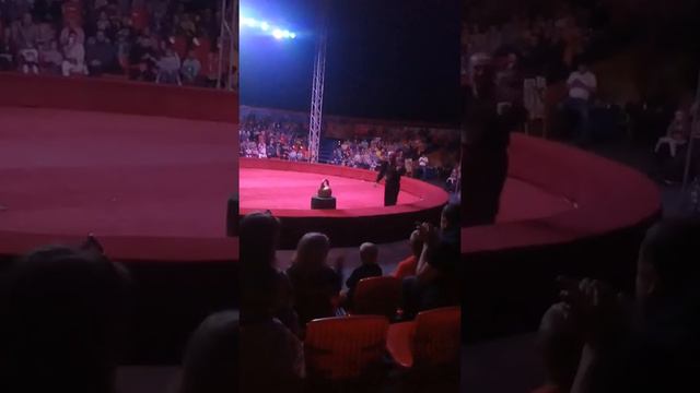 Цирк Шапито Корона 2 часть смотреть онлайн