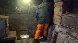 Дезинфекция курятника. Обработка стен известью.