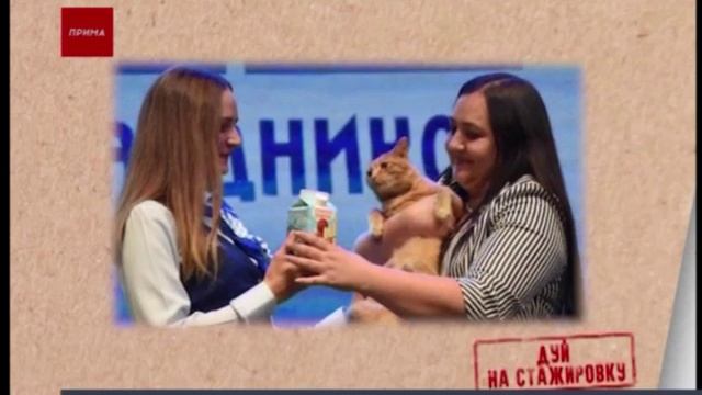 Дуй на стажировку: как работает почта смотреть онлайн