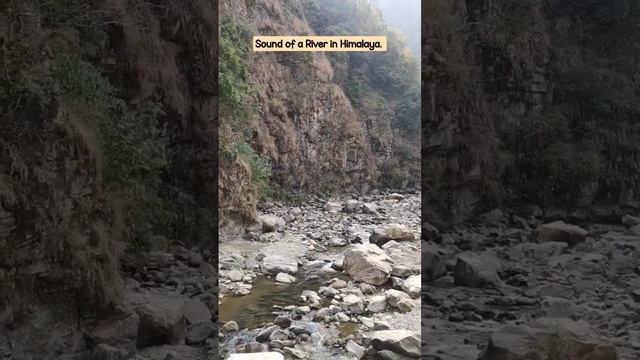 Soothing sound of River in Himalaya... #fyp #calm #peace смотреть онлайн