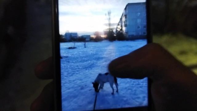 Кинула Юле на телефон, читаю свой стих смотреть онлайн