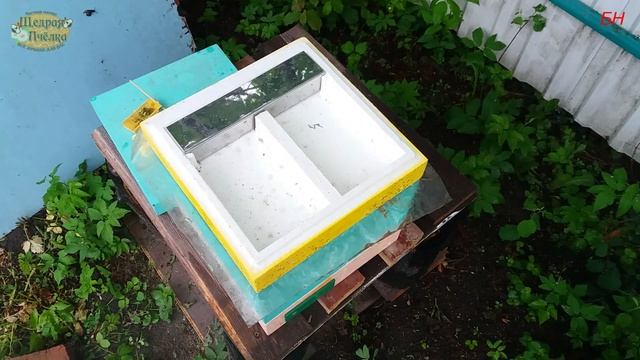 ПЧЕЛОВОДСТВО. ЗАСЕЛЕНИЕ НУКЛЕУСА ЛЕТНОЙ ПЧЕЛОЙ + АММИАЧНАЯ СЕЛИТРА смотреть всем смотреть онлайн