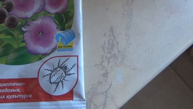 ПОЧЕМУ СКРУТИЛИСЬ ЛИСТЬЯ У ПЕРЧИНКИ"СИРИУС"? смотреть онлайн