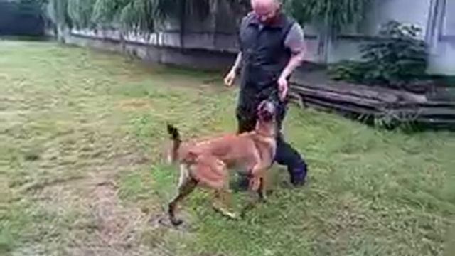 усадка в движении - 2 смотреть онлайн