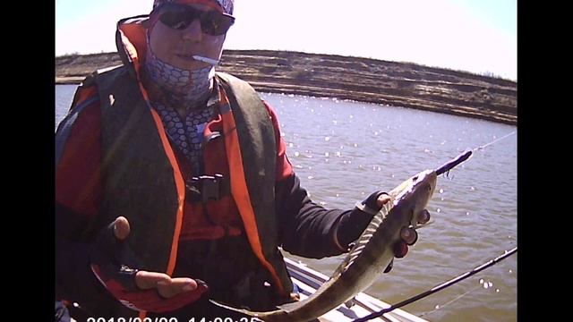 Рыбалка в Астраханской обл п Бугор река Ахтуба смотреть онлайн