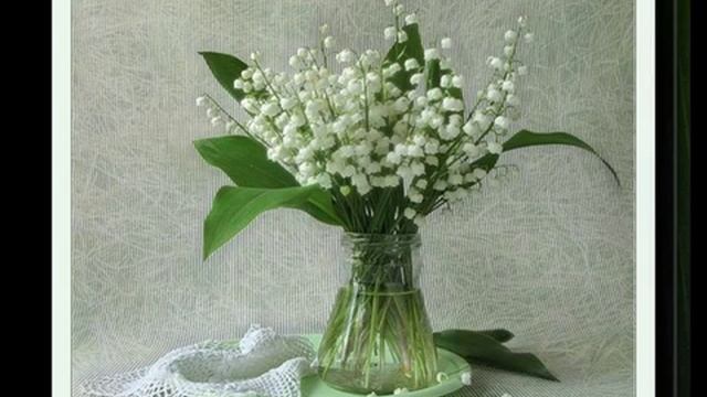 Любимым смотреть онлайн
