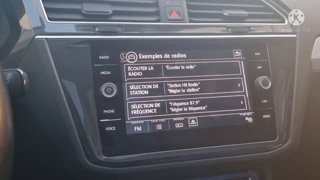 VW Tiguan2 Fin 2019 Activation App Connect Voice Sport GPS 2022 Thème Alpine ✅?? GSM: 0661482268 смотреть онлайн