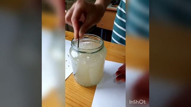 Вредители комнатных растений. смотреть онлайн