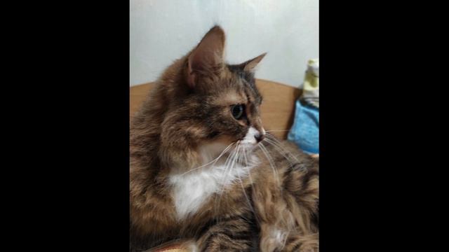 презентация по изо2 смотреть онлайн