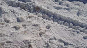 Приставка- снегоуборщик к мотоблоку СМ-0,6 САЛЮТ.