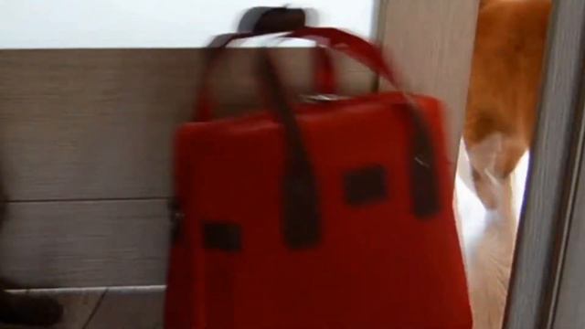 класкотики в отпуске смотреть онлайн
