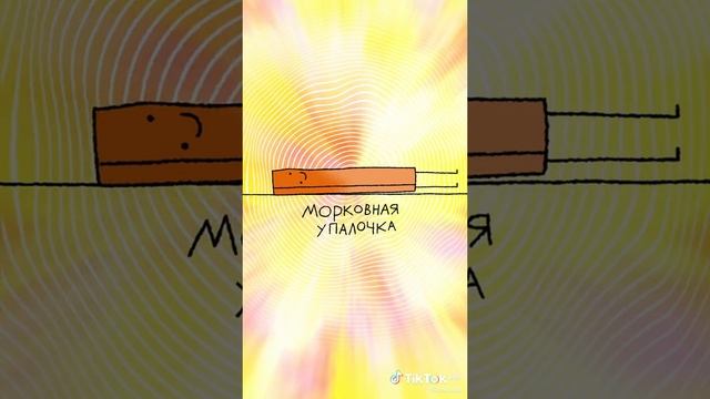 VID-20230108-WA0000.mp4