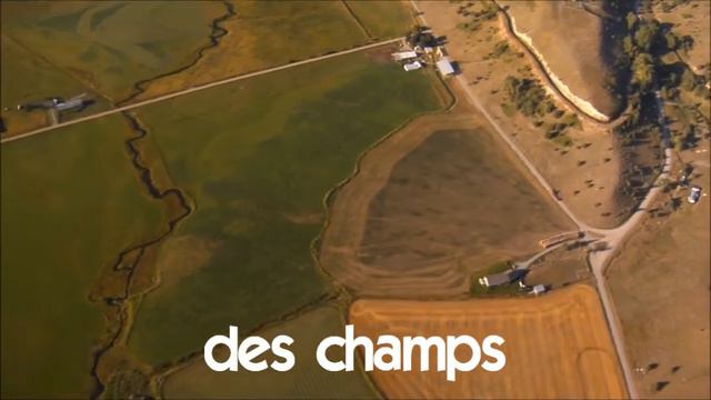 Французский язык для начинающих #Compilation #La nature смотреть онлайн