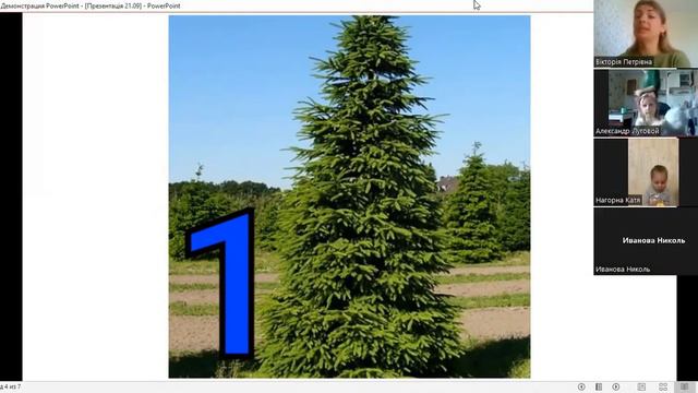 Заняття  з логіко-математичного розвитку.Тема: Число  і цифра 1. Довжина.