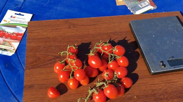 Томат Черри Верра F1. Прекрасный гибрид от агрофирмы Партнёр. смотреть онлайн