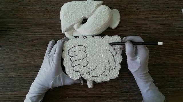 How to make Digestive System 3d Model смотреть онлайн