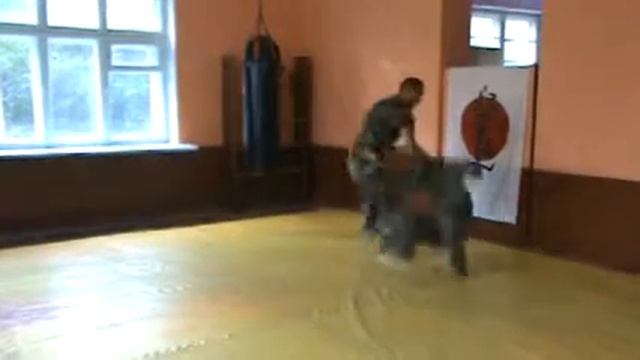 Сопби Хапкидо смотреть онлайн