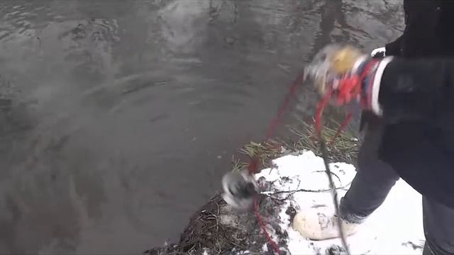 Магнитная рыбалка, чистим водоём / Magnetic fishing, clean the pond смотреть онлайн