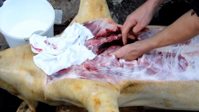 Копия видео "КАК ПРАВИЛЬНО РАЗДЕЛАТЬ ТУШУ СВИНЬИ" смотреть онлайн