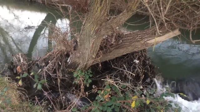 Река Кача. Водопад. Крым смотреть онлайн