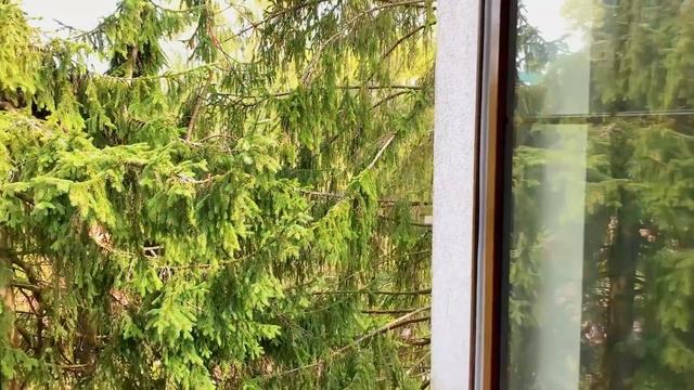 Продаем двухуровневую квартиру 107,2 кв.м. в курортном Светлогорске / От собственника смотреть онлайн