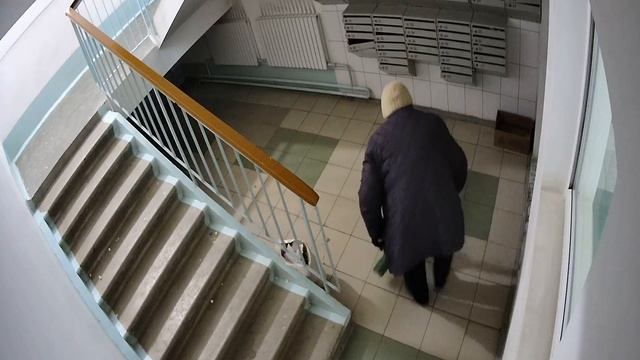 1 под лестница 2022.02.07 04 00 10 00 смотреть онлайн