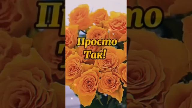 Самому прекрасному человеку! Для тебя красивое пожелание смотреть онлайн