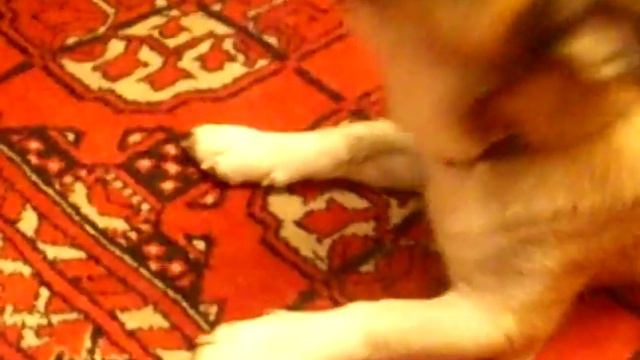 Джек певец смотреть онлайн