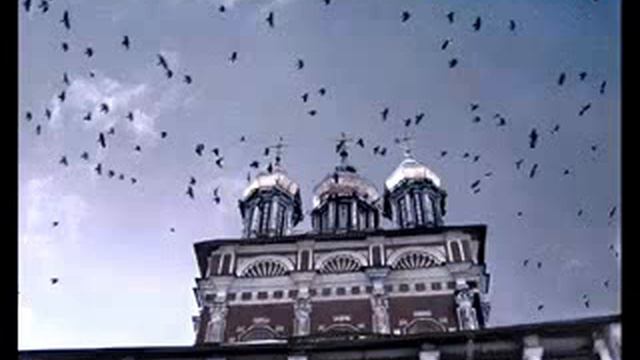 Пикник - Мы ка трепетные птицы смотреть онлайн