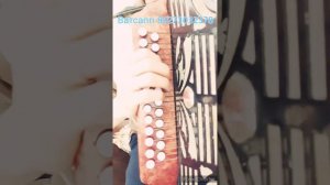 Кайтам але Альдермешка -  обучающий разбор песни на гармони ЦИФРАМИ. Карим Муратов