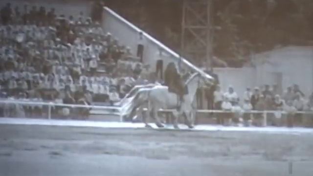 Бийск, 18 школа Салют, пионерия! смотреть онлайн