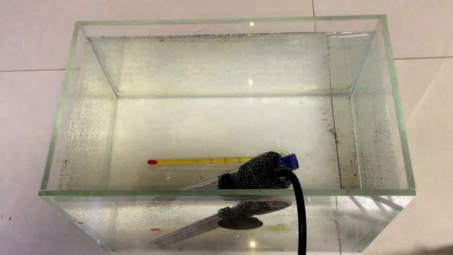 魚缸加熱棒有危險嗎？加熱棒的正確使用方法，新手養孔雀魚-15 смотреть онлайн