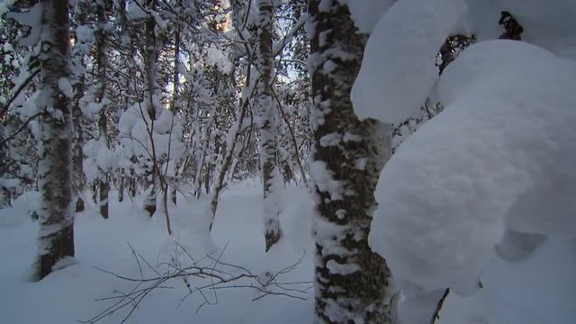 Великая река Амур часть 1 смотреть онлайн
