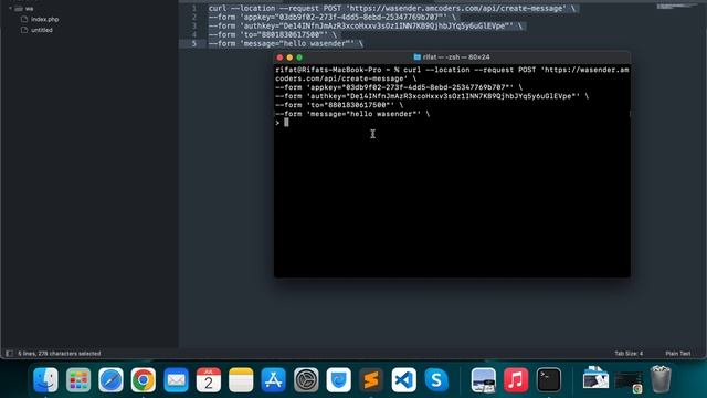 Wasender App (API) php and curl смотреть онлайн