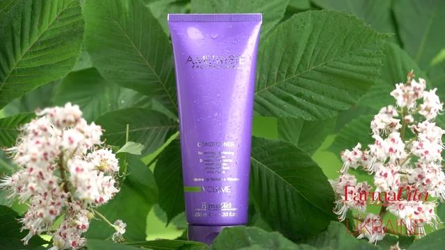 AMETHYSTE VOLUME смотреть онлайн