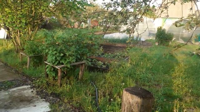 25.05.2022г. дачные заботы. смотреть онлайн