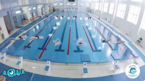 Секции школы плавания ДЕЛЬФИН