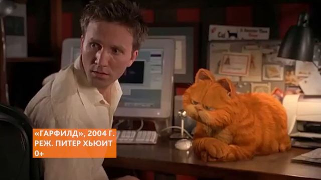 Лайки и котики: особенности котов породы экзот смотреть онлайн