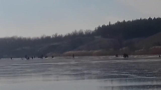 зимняя рыбалка,муж на рыбалке. смотреть онлайн